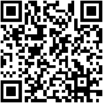 qrcode(13)