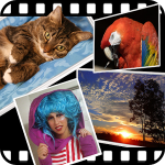 Gallery Live Wallpaper v2.21