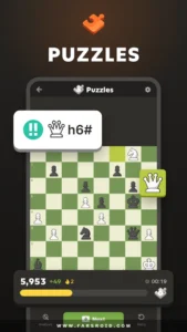 Chess