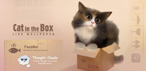 Cat-in-the-Box