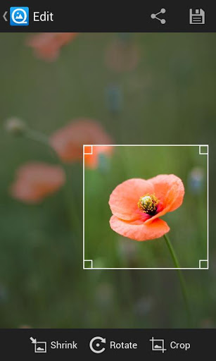 اسکرینشات 1 از QuickPic v2.9.1 Final