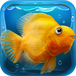iQuarium v2.11