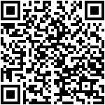 Virtual City Playground 1.11 qrcode(125)