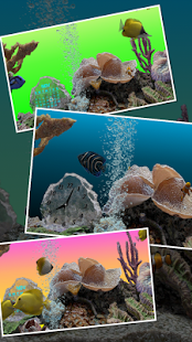 اسکرینشات 1 از محیط برنامه Marine Aquarium 3.2 PRO v1.09 برای اندروید
