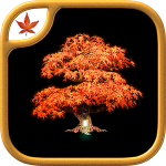 Fire Maple Games Collection v1.0.9 + data Fire Maple Games Collection v1.0.9 + data