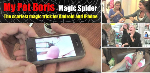 Magic-Spider
