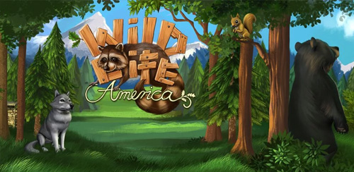 WildLife---America-cover