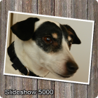 Slideshow 5000 Pro v1.13 Slideshow 5000 Pro v1.13