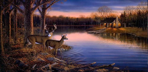 Deer Hunting Rampage v.1.8 z