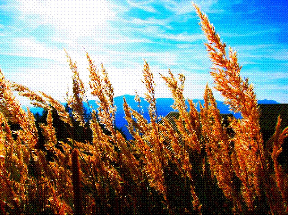 اسکرینشات 1 از محیط برنامه 8Bit Photo Lab 1.0.1 برای اندروید