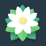 Breath of Light v1.0.1612