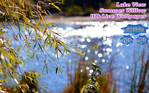 اسکرینشات 4 از محیط برنامه Lake View Willow Landscape HD v1.3.9 برای اندروید