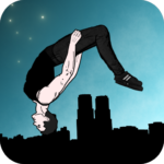 Backflip Madness