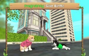انتخاب نژاد گربه در Cat Sim Online