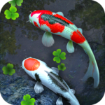 Water Garden Live Wallpaper v1.66 Live Wallpaper