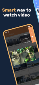 تنظیمات زیرنویس در Lua Player