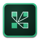 Adobe Connect v4.1.1