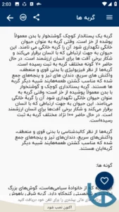 صفحه درباره گربه اطلاعات عمومی