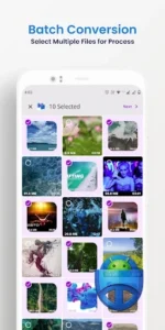 Video Converter