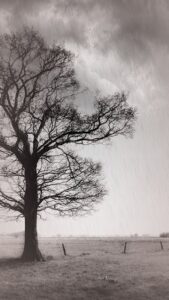 آموزش نصب Rainy Daze اندروید
