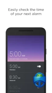 Alarm Clock Puzzle