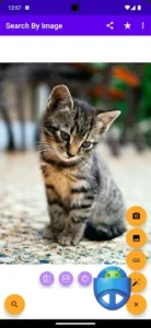 Search By Image