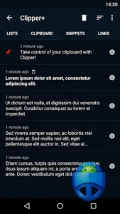 Clipper Plus