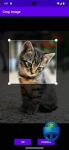 Search By Image