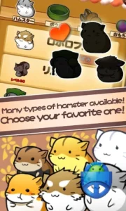 Hamster Life
