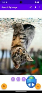 Search By Image