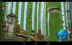 Bamboo Forest 3D Live Wallpaper