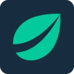 Bitfinex
